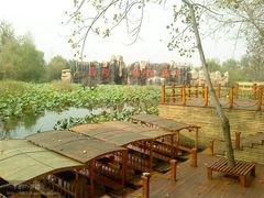 -微山湖红荷湿地景区