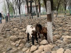 -长白岛森林公园