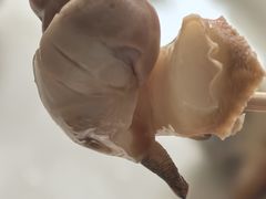 -金砂阿洲鱼册店