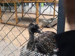 -长白岛森林公园