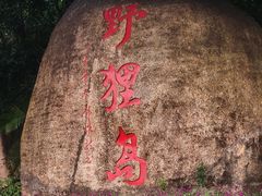 -野狸岛