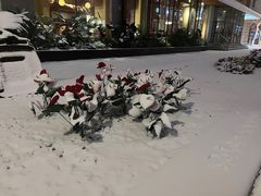 -那些年记忆烧烤