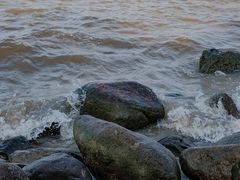 -上海吴淞炮台湾国家湿地公园