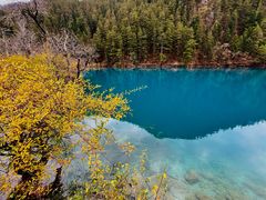 -九寨沟-树正沟