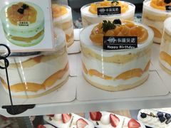 -卡滋贝诺动物奶油生日蛋糕(常熟万达店)