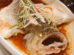 -刘胖子家常菜·蹄花焖藕(中南店)