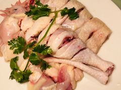 -千岛蚝高压锅生蚝·人参火锅(白云万达店)