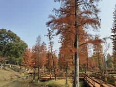 -凤凰沟景区
