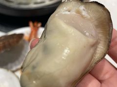 -半岛听涛蒸汽海鲜自助(K11店)