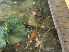 -火福·天湖阁大闸蟹博物馆主题餐厅(浅水湾店)