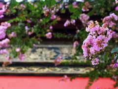 -古大圣慈寺
