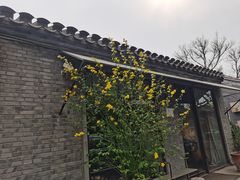 -北京国子监胡同