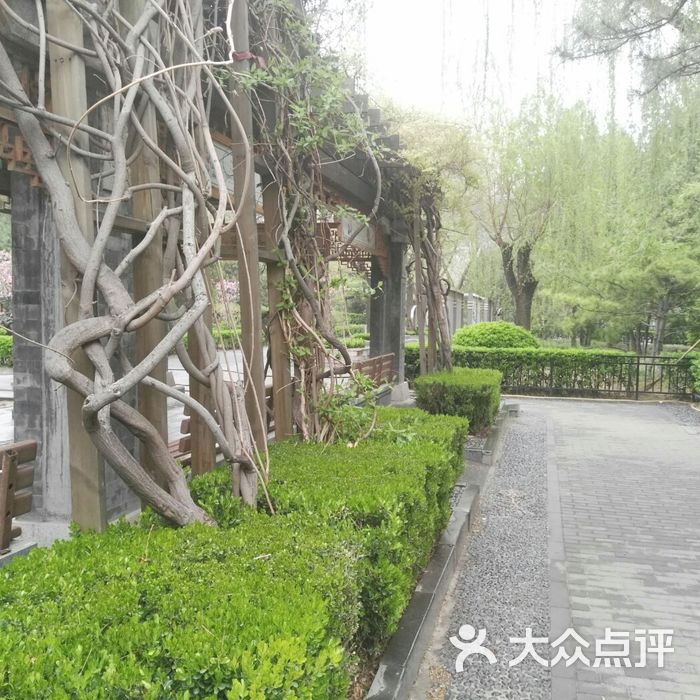 安贞社区街心公园