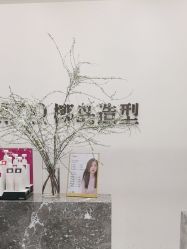 -YESIDO椰岛造型