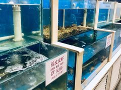水产区-天津乾毓德饭庄·清真传统炒菜·海鲜烧烤(咸阳路店)