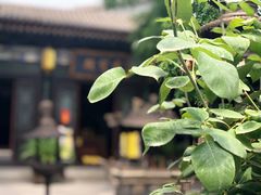 -湘子庙