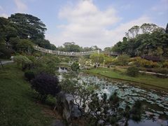 -东莞植物园