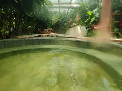 -南宫温泉水世界