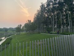 -坝河休闲公园