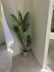 -VE专注问题肌·赛诺龙&科学美肤中心