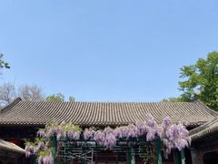 -恭王府博物馆