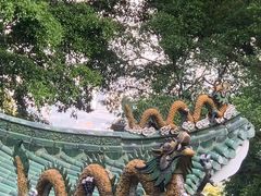 -广州市白云山风景名胜区