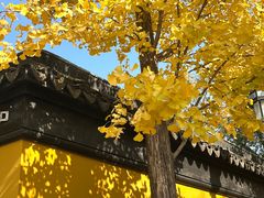 -西园戒幢律寺