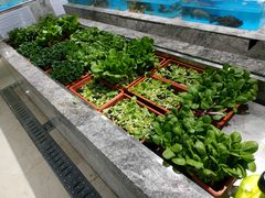 -青岛海尔洲际酒店