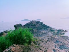 -上海市保健医疗中心(华东疗养院)