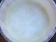抹茶海盐奶盖-CoCo都可(富民一店)