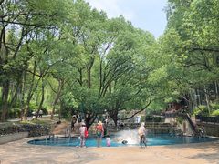 -东明山森林公园