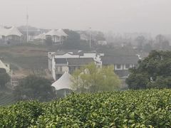 -帐篷客·溪龙茶谷度假酒店