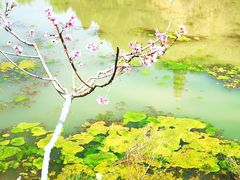 -渭南桃花源民俗文化园