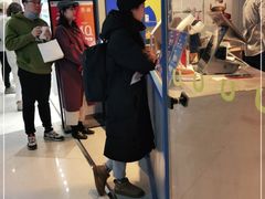 -春丽小马(济南恒隆广场店)