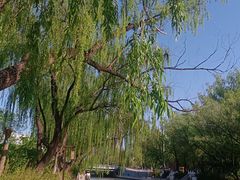 -南长河公园