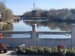 -溱湖国家湿地公园