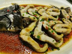 豆豉蒸鲟鱼-紫光园(顺义店)