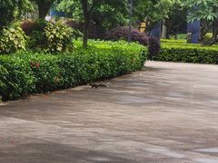 -南宁花花大世界景区