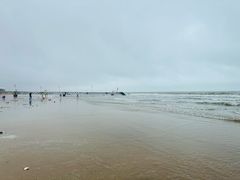 -日照海滨国家森林公园