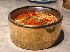 -雍容荟活波龙自助餐(IFS黑金店)
