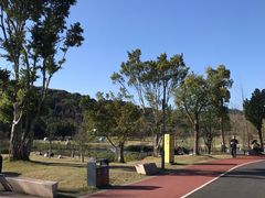 -牛岗山公园