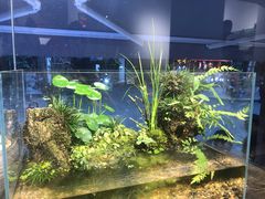 -甜心闲生传统手工冰粉(奎星楼店)