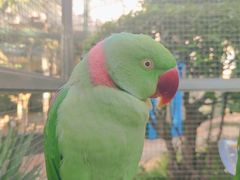 -大连森林动物园