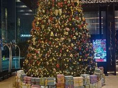 -北京希尔顿逸林酒店