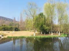 -习家池