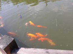 -天目湖山水园