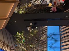 -桂满陇·海市蜃楼·黑金(国金店)