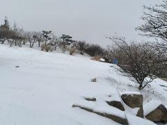 -泰山风景名胜区