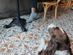 -Grande A'moo(上海万象城店)