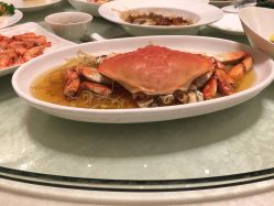 -无锡君来洲际酒店·宴会厅